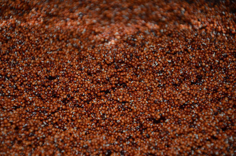 10 Benefits of Sprouting Ragi vs. Plain Ragi for Babies