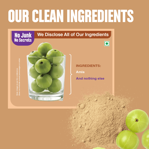 Amla Powder