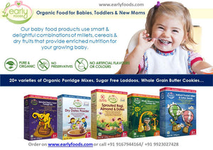 Organic Home Made Baby Foods - Early Foods Product Review