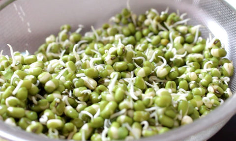 11 Reasons to Feed Sprouted Grains to your Children Everyday