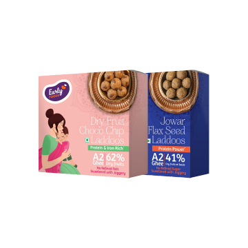 Pack of 2 - Jowar Flax & Dry Fruits Choco Chip Laddoos